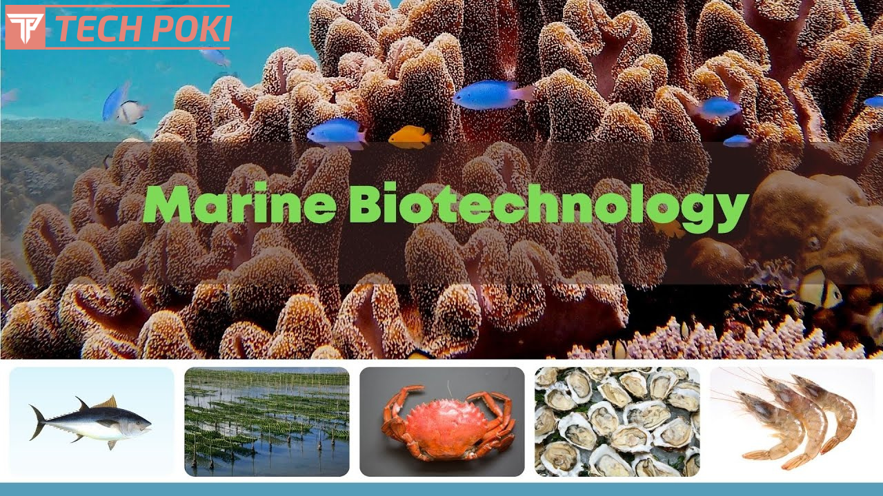 Jobs in marine biotechnology